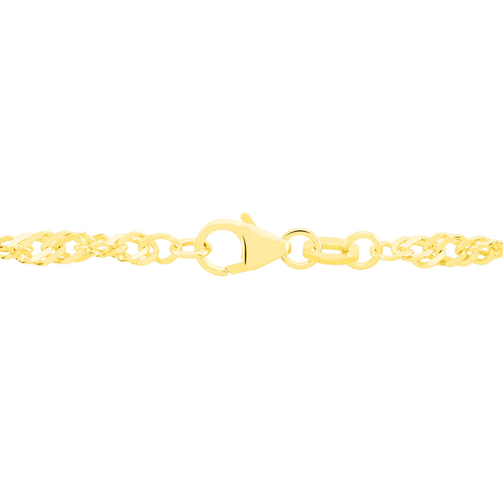 Damen Singapurkette Gold 375  - Halsketten Damen | OROVIVO