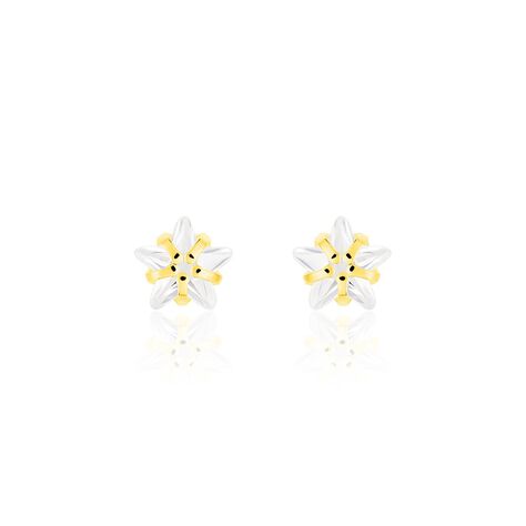 Ohrstecker Gold 333 Zirkonia Stern - Ohrstecker Familie | OROVIVO
