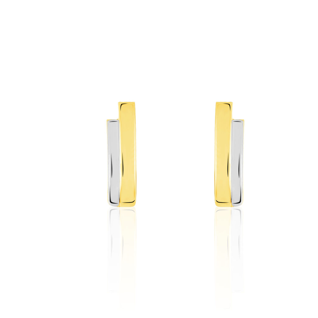 Damen Creolen Gold Bicolor 333 (8 Karat) Barren