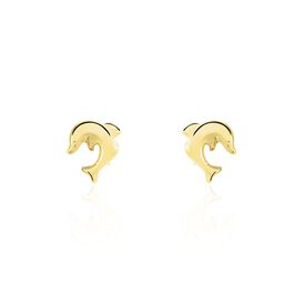 Kinder Ohrstecker Gold 333 Delphin - Ohrstecker Kinder | OROVIVO