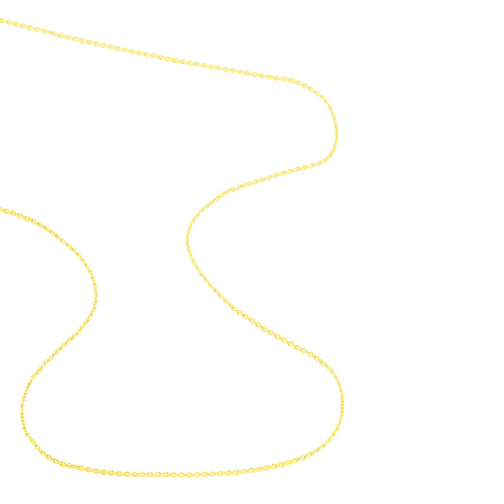 Damen Ankerkette Gold 585  - Halsketten Damen | OROVIVO