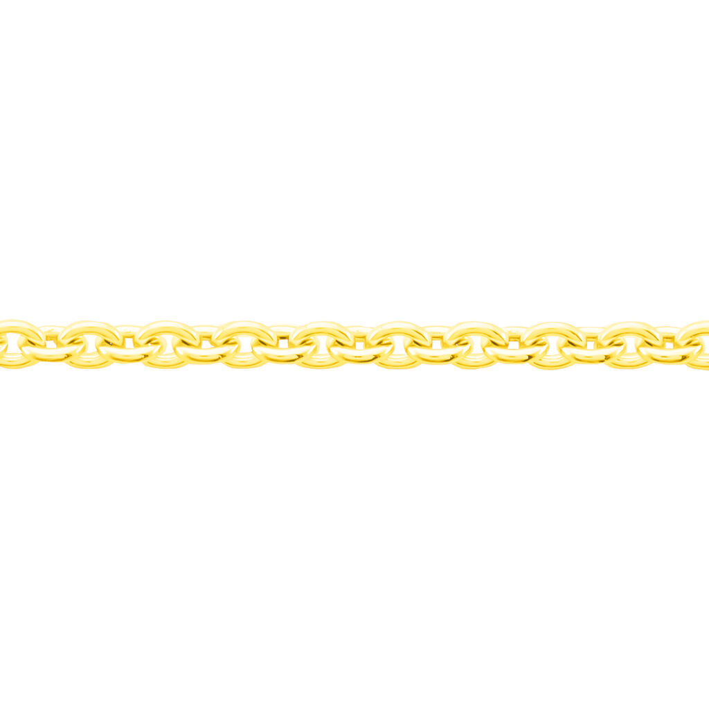 Damen Ankerkette Gold 585  - Halsketten Damen | OROVIVO