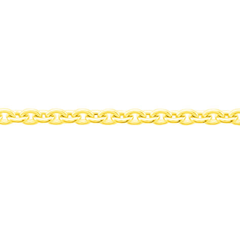 Damen Ankerkette Gold 585  - Halsketten Damen | OROVIVO