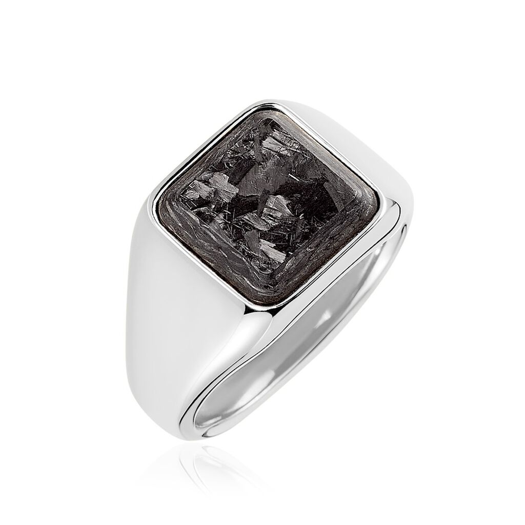 Chevali&egrave;re Brut Acier Argent&eacute;