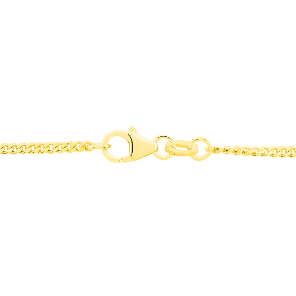 Unisex Panzerkette Gold 375  - Halsketten Unisex | OROVIVO