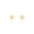 Ohrstecker Gold 333 Zirkonia Stern