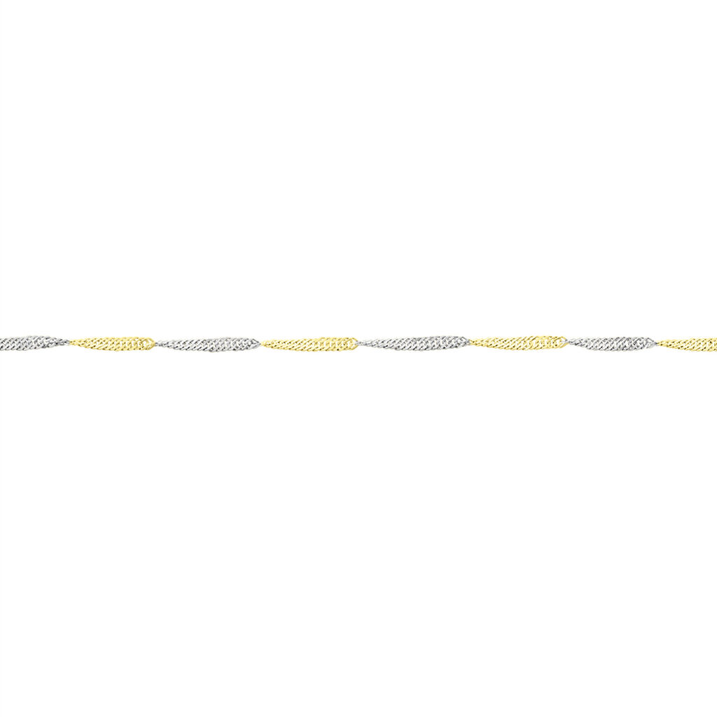 Damen Singapurkette Gold 375  - Halsketten Damen | OROVIVO