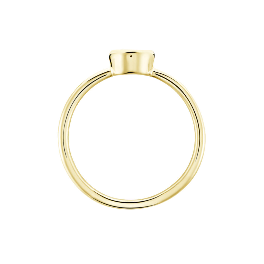 Damen Ring Vergoldet Zirkonia Malena 6,00mm  - Ringe mit Stein Damen | OROVIVO