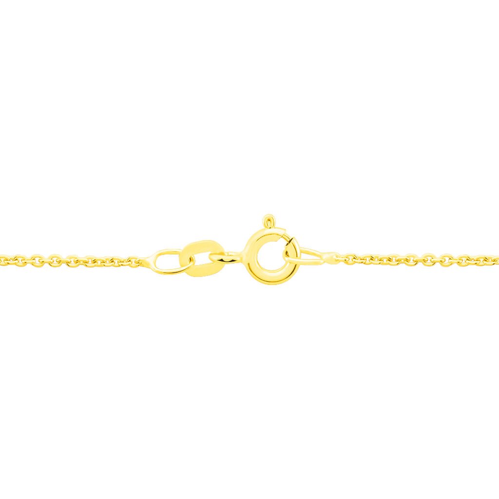 Damen Ankerkette Gold 585  - Halsketten Damen | OROVIVO