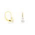 Damen Ohrhänger Gold 375 Zirkonia  - Ohrhänger Damen | OROVIVO