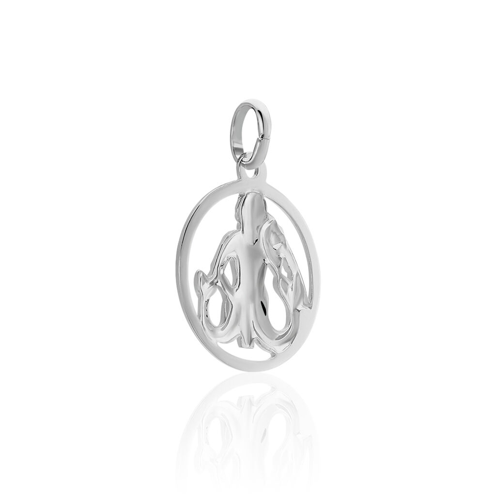 SZ SERIE 4 Unisex Anh&auml;nger Silber 925 Sternzeichen-Wassermann