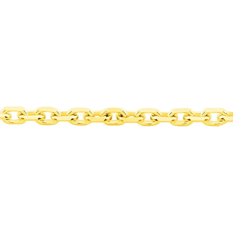 Damen Ankerkette Gold 585  - Halsketten Unisex | OROVIVO