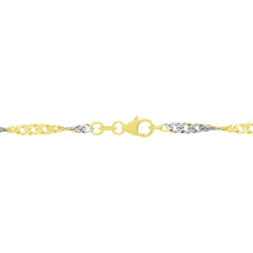 Damen Singapurkette Gold 375  - Halsketten Damen | OROVIVO