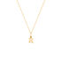 ALPHABET Unisex Anh&auml;nger Gold 375 (9 Karat) Buchstabe R