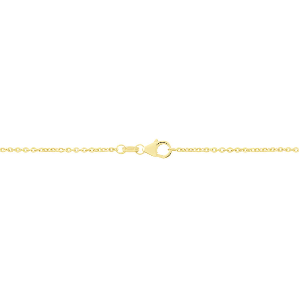 Damen Ankerkette Gold 375  - Halsketten Damen | OROVIVO