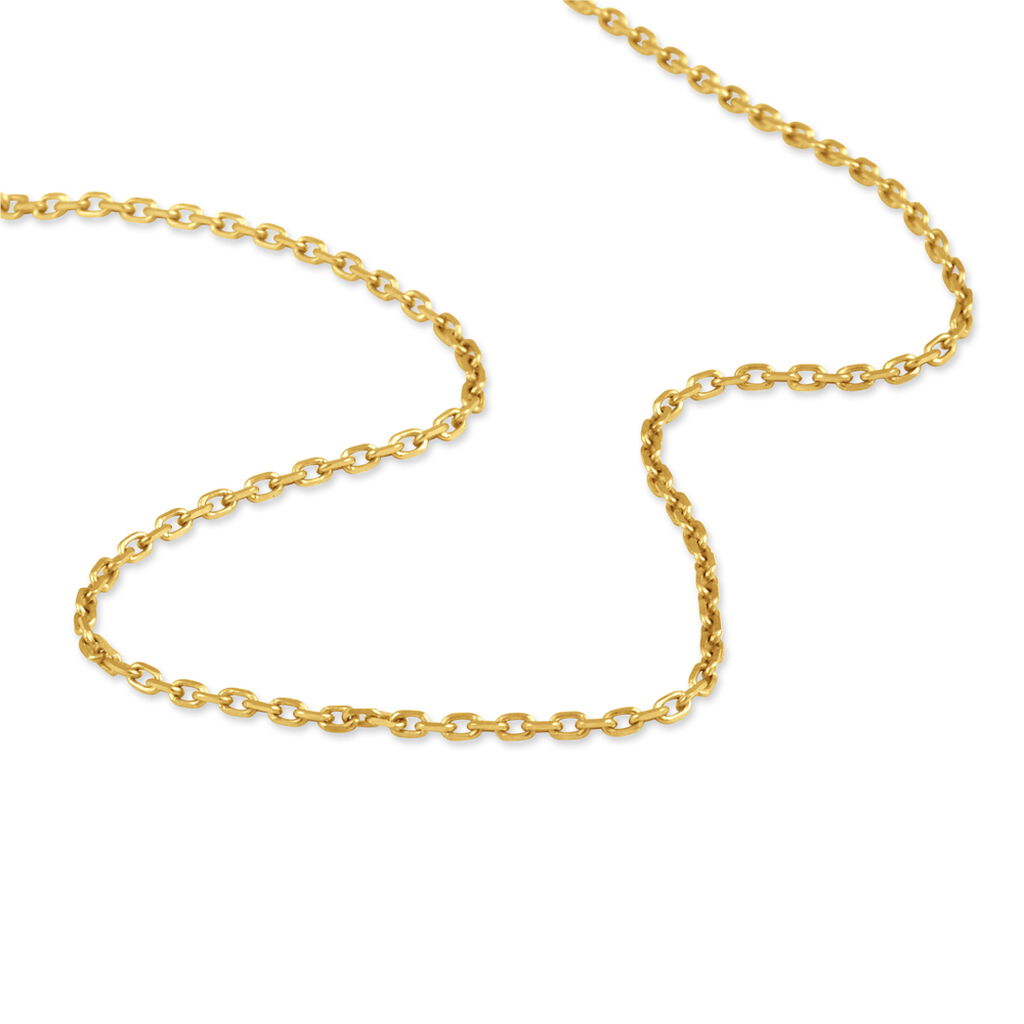 ANKER DIA. 6 Damen Kette Gold 375 (9 Karat) B 1,6 mm - Halsketten Damen | OROVIVO