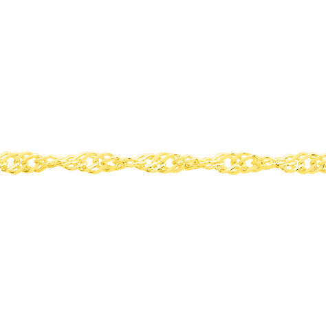 Damen Singapurkette Gold 585  - Halsketten Damen | OROVIVO
