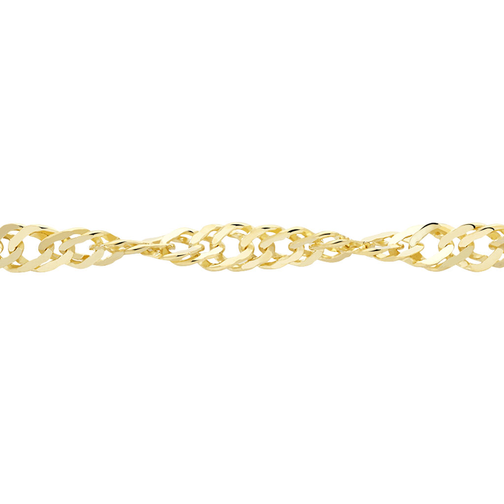 Damen Singapurkette Gold 375  - Halsketten Damen | OROVIVO