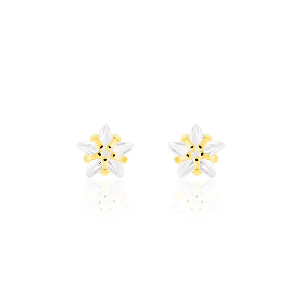 Ohrstecker Gold 333 Zirkonia Stern - Ohrstecker Familie | OROVIVO