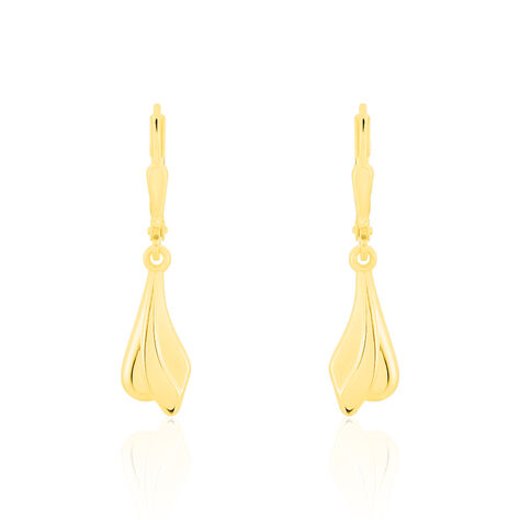 Damen Ohrhänger Gold 333 - Ohrhänger Damen | OROVIVO