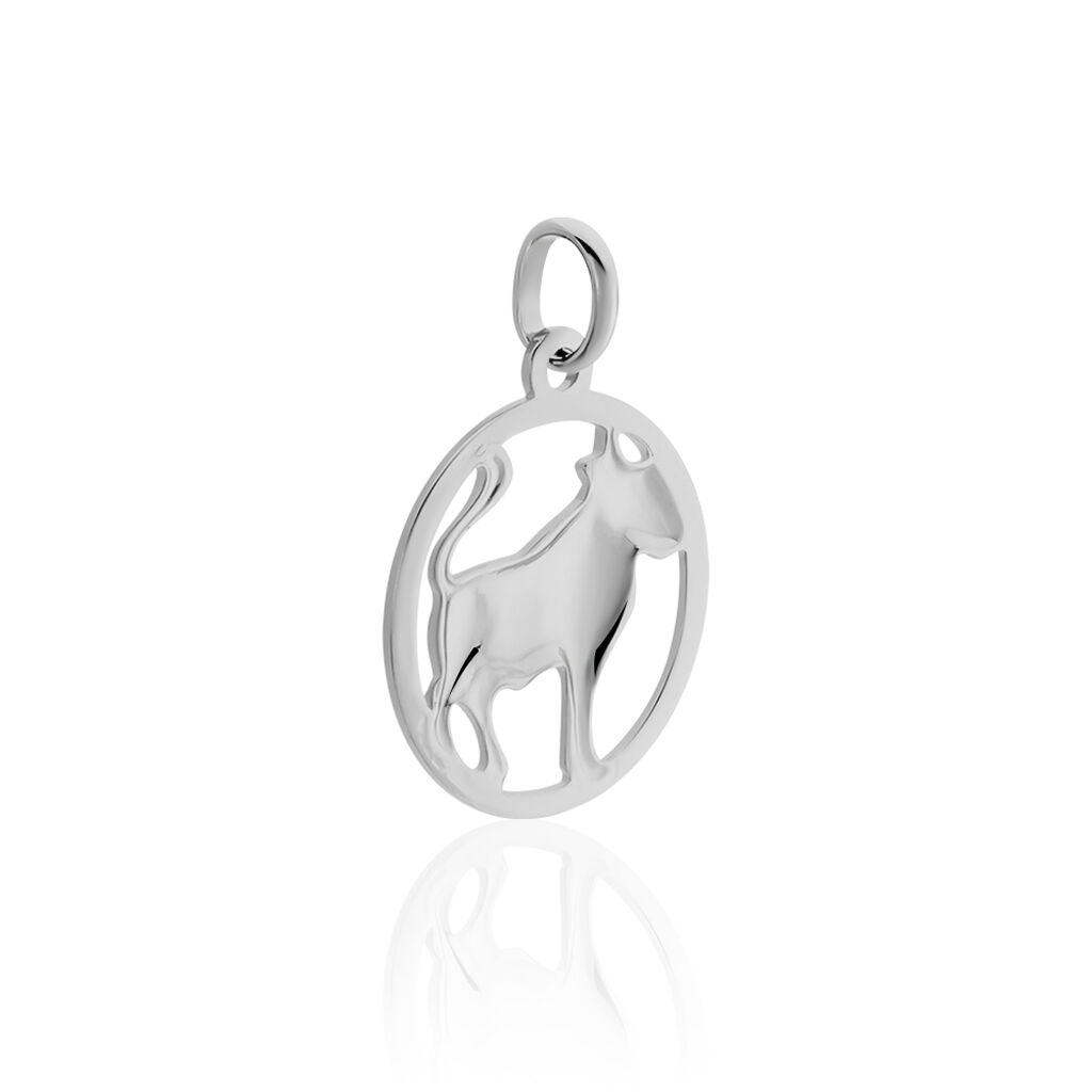 SZ SERIE 4 Unisex Anh&auml;nger Silber 925 Sternzeichen-Stier