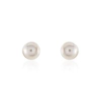 Damen Perlenohrringe Gold 585 Zuchtperle 7-8mm Grace