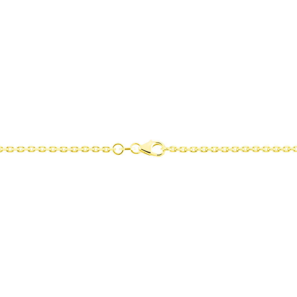 Unisex Ankerkette Gold 375 Diamantiert  - Halsketten Unisex | OROVIVO