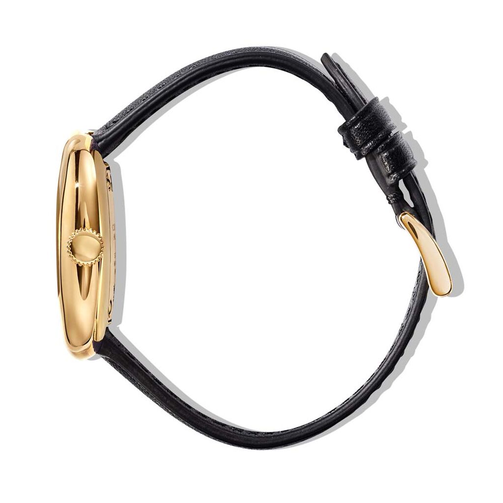 Montre Marc Jacobs Mj0120179302 - Spannringe Damen | OROVIVO