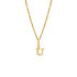 ALPHABET Unisex Anhänger Gold 375 (9 Karat) Buchstabe U