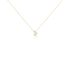 Herz Agnese Damen Collier Gold Bicolor Gold/Silber 375 (9 Karat) Diamant Weiß 0,020 ct Herz