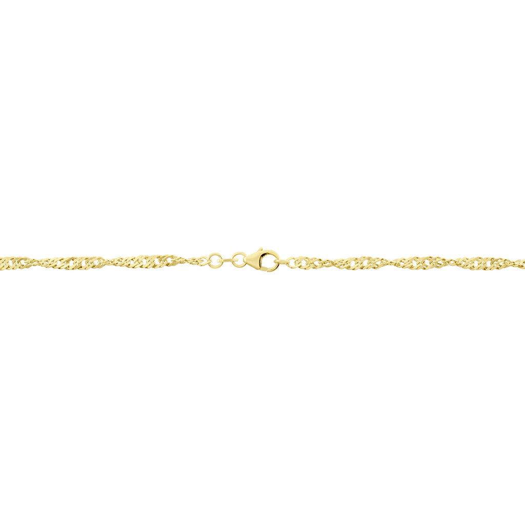 Damen Singapurkette Gold 375  - Halsketten Damen | OROVIVO