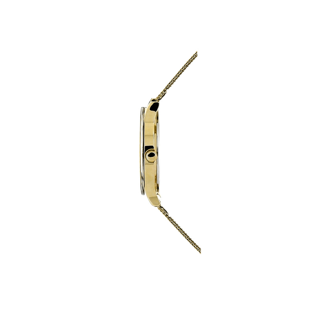 Montre Pierre Lannier 051h538 - Spannringe Damen | OROVIVO