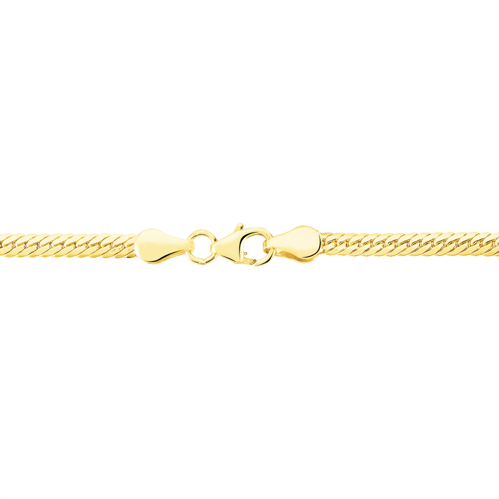 Collier Or Jaune Izel Maille Anglaise - Spannringe Familie | OROVIVO