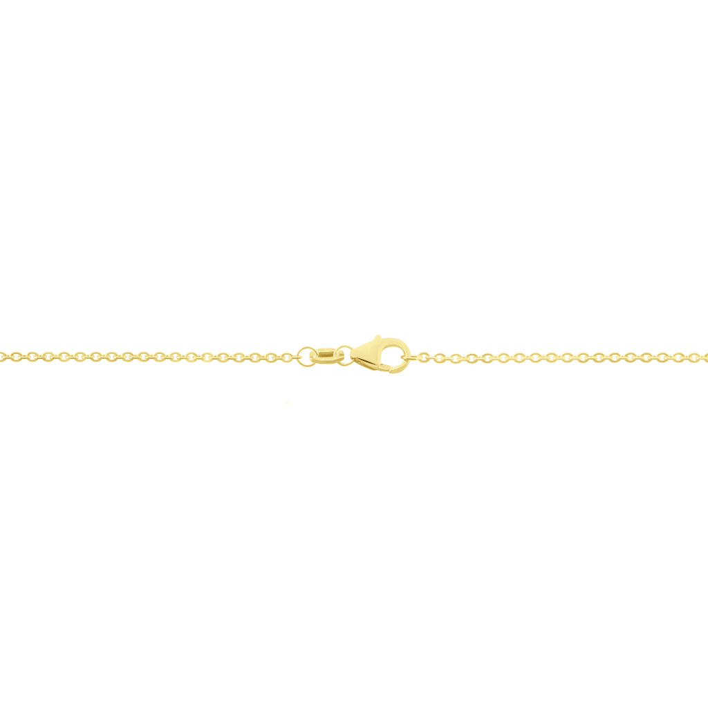 Damen Ankerkette Gold 375  - Halsketten Damen | OROVIVO