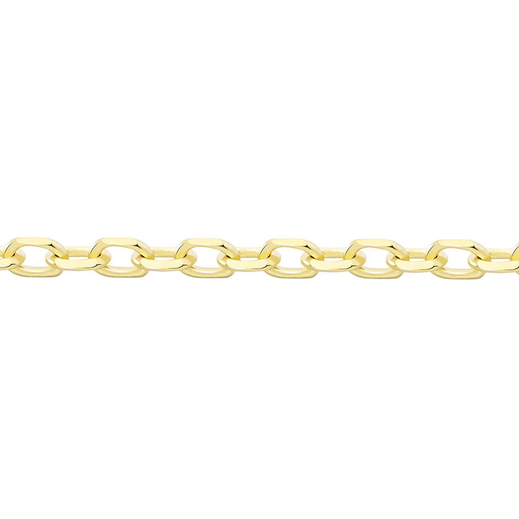 ANKER DIA. 1 Damen Kette Gold 375 (9 Karat) B 0,85 mm - Halsketten Damen | OROVIVO