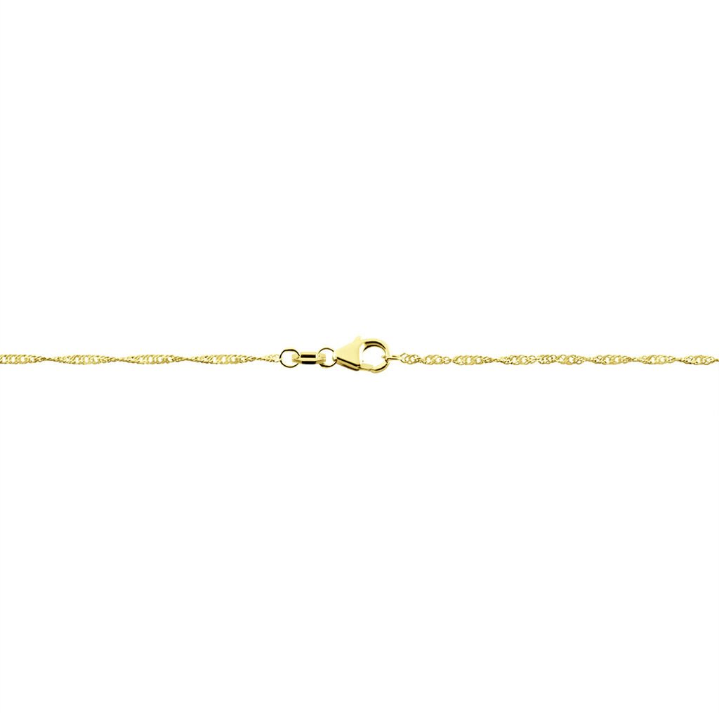 Damen Singapurkette Gold 375  - Halsketten Damen | OROVIVO