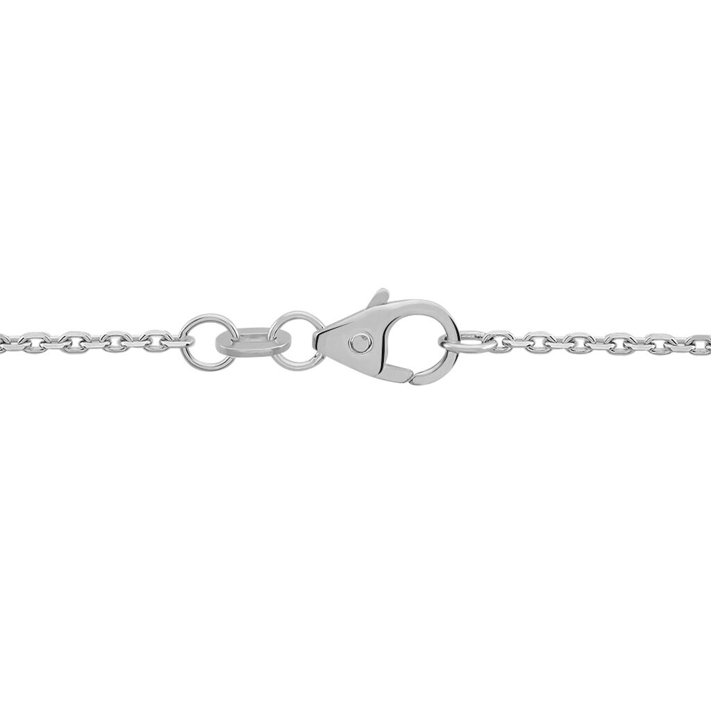 Unisex Ankerkette Weißgold 585  - Halsketten Unisex | OROVIVO