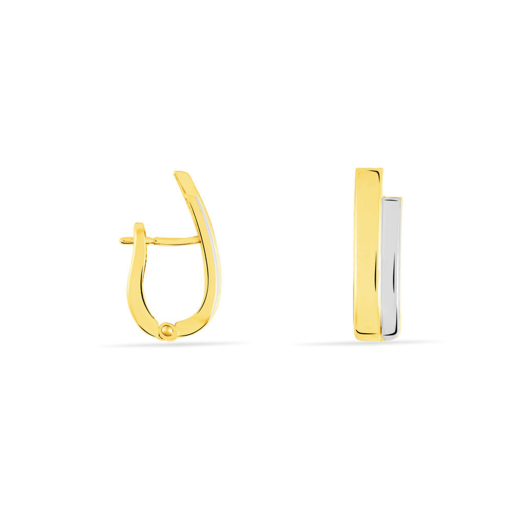 Damen Creolen Gold 333 Bicolor , Creolen ohne Stein