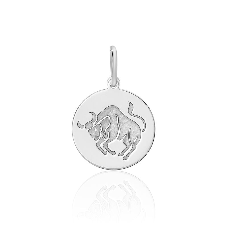 Pendentif Argent Zodiaque - Spannringe Familie | OROVIVO