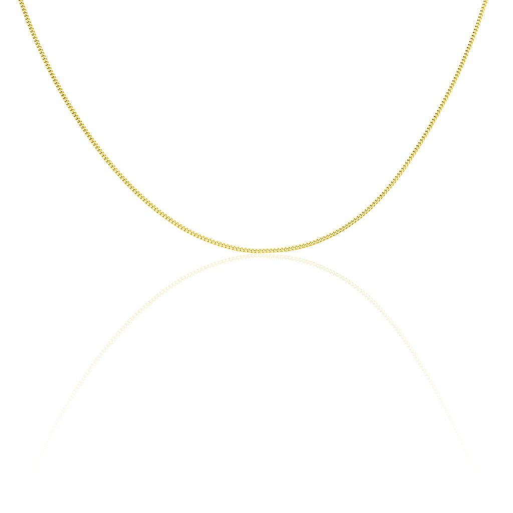 PANZER Herren Kette Gold 585 (14 Karat) B 1,4 mm, Kette ohne Stein