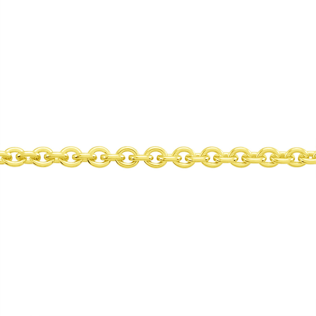 Damen Ankerkette Silber 925 vergoldet  - Halsketten Damen | OROVIVO