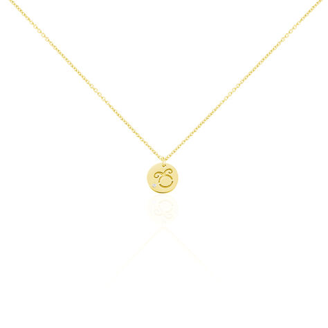 Damen Halskette Silber 925 Vergoldet Zirkonia - Halsketten Damen | OROVIVO
