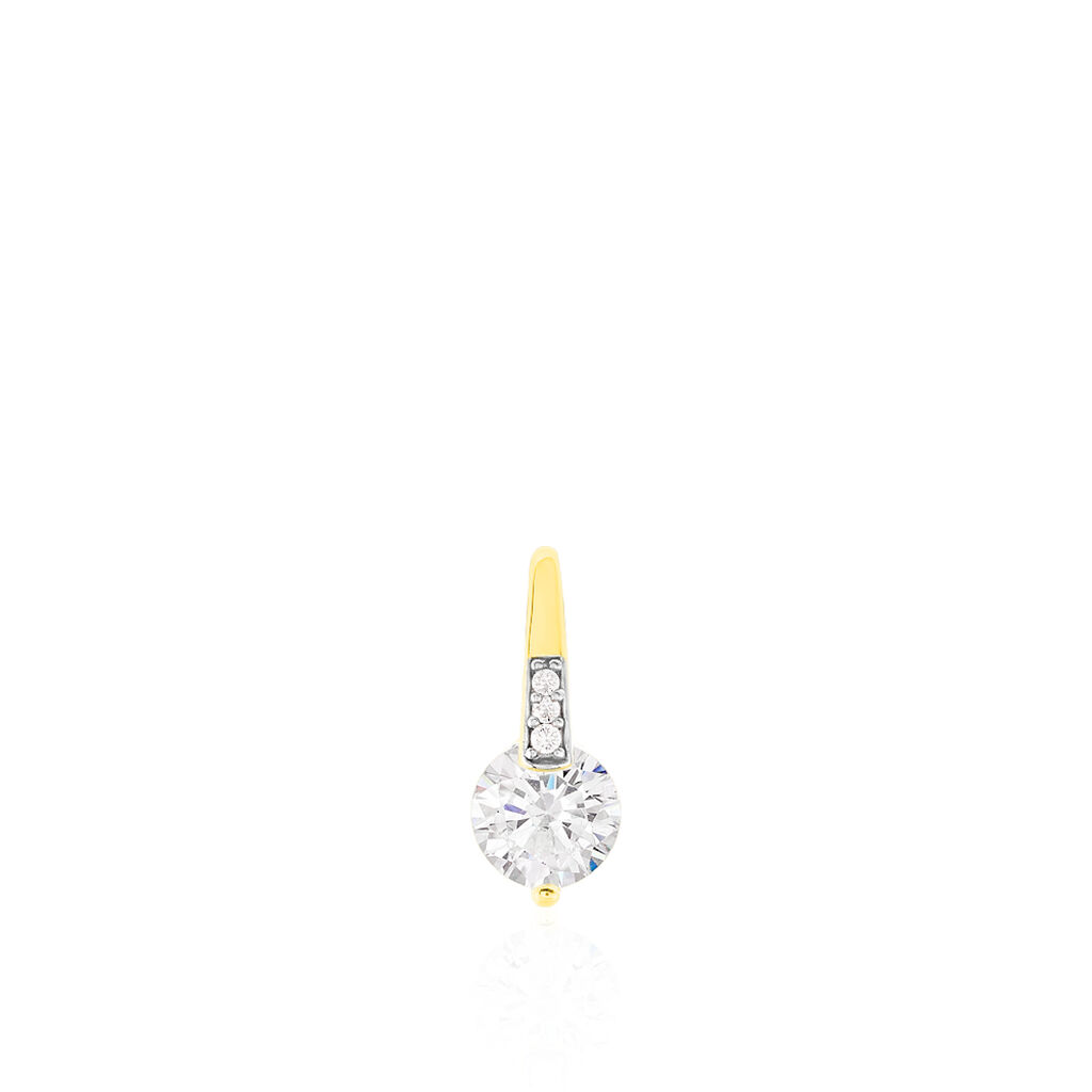Anhänger Gold 333 Bicolor Zirkonia - Schmuckanhänger Damen | OROVIVO