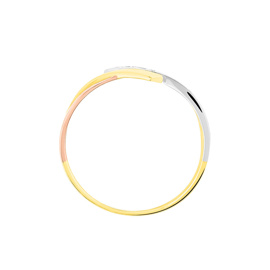 Damen Ring Gold Tricolor Gold/Roségold/Schwarz 375 Diamant 0,01ct Ainhoa 1  - Verlobungsringe Damen | OROVIVO