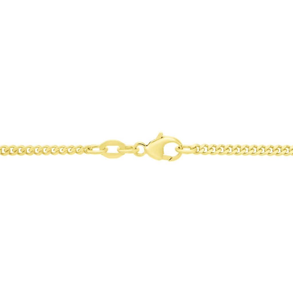 Unisex Panzerkette Gold 375  - Halsketten Unisex | OROVIVO