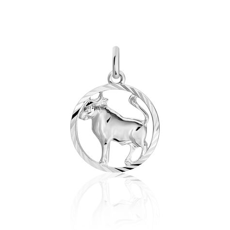 SZ SERIE 4 Unisex Anh&auml;nger Silber 925 Sternzeichen-Stier - Schmuckanh&auml;nger  | OROVIVO