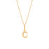 ALPHABET Unisex Anh&auml;nger Gold 375 (9 Karat) Buchstabe C