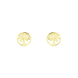 Damen Ohrstecker Gold 375 Lebensbaum - Ohrstecker Damen | OROVIVO