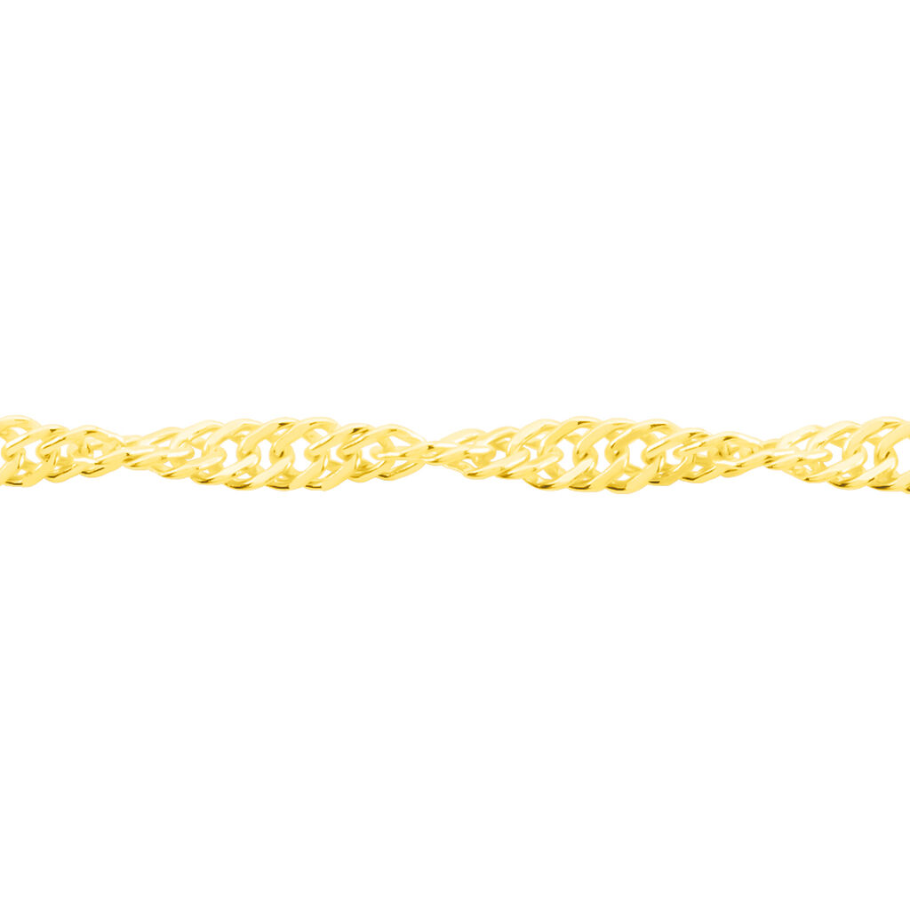 Damen Singapurkette Gold 375  - Halsketten Damen | OROVIVO