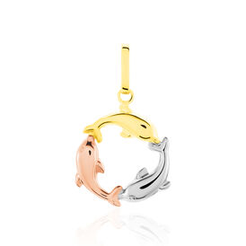 Anhänger Gold 375 Tricolor Delfin  - Schmuckanhänger Familie | OROVIVO